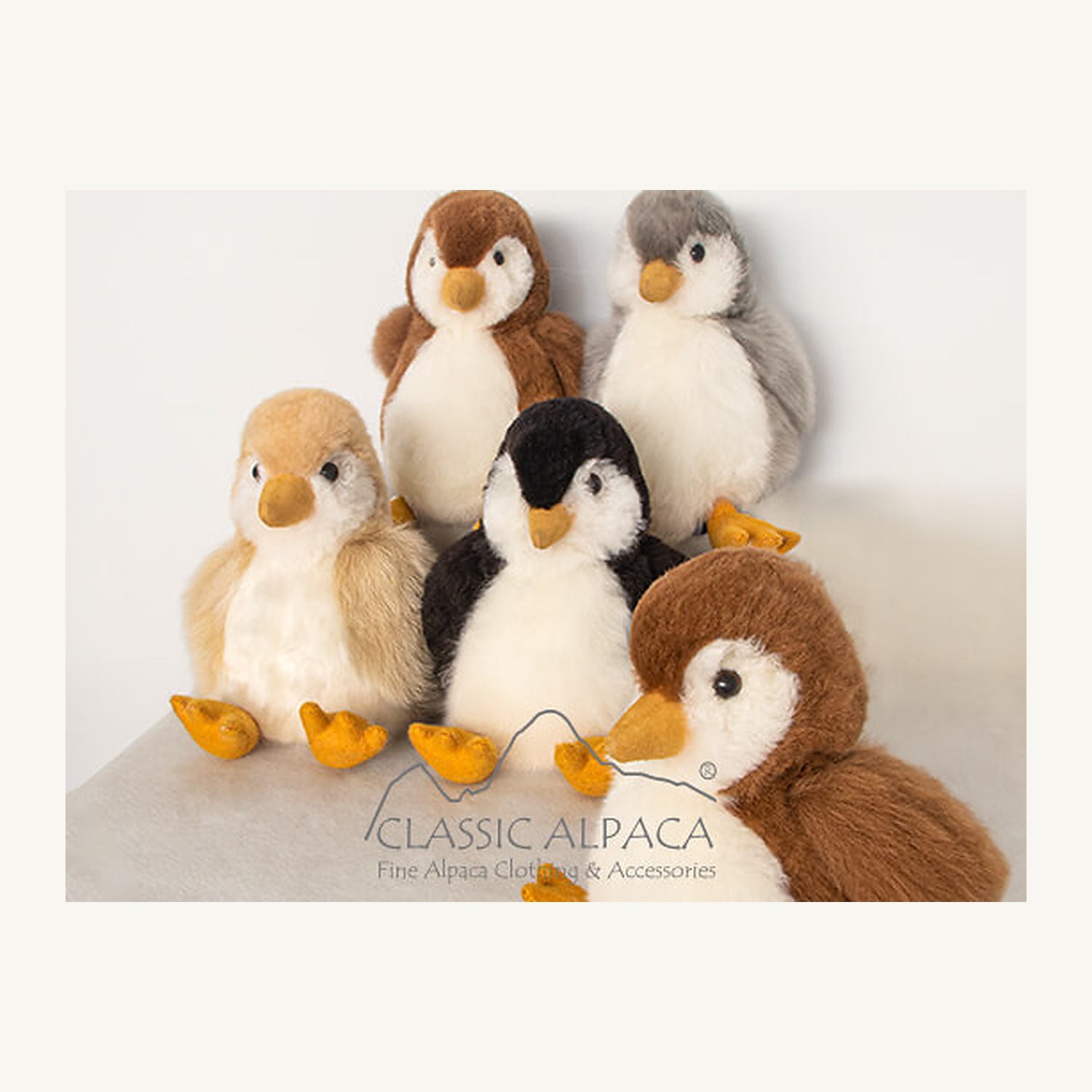 Penguin