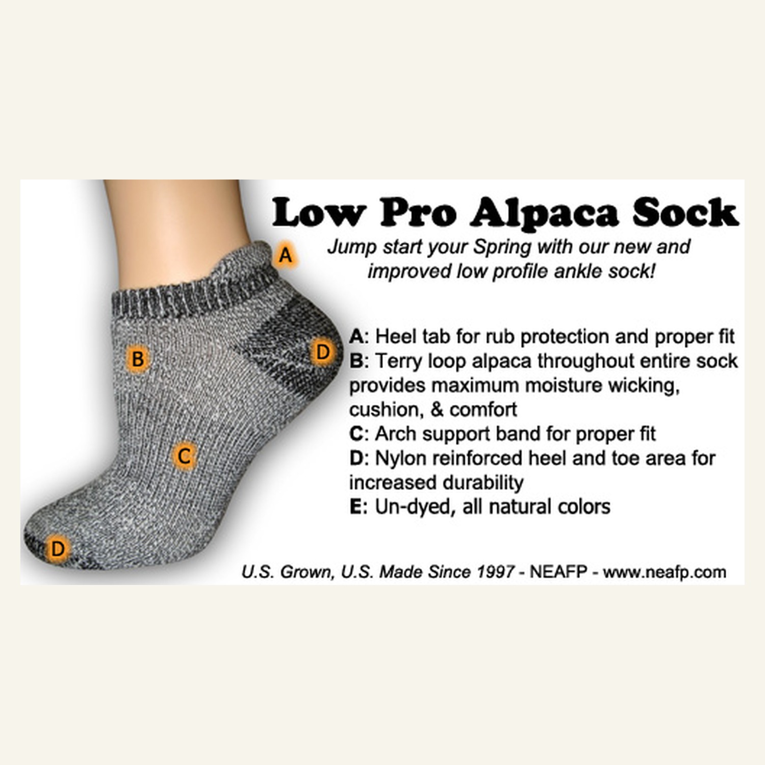 Low Pro Ankle Sock
