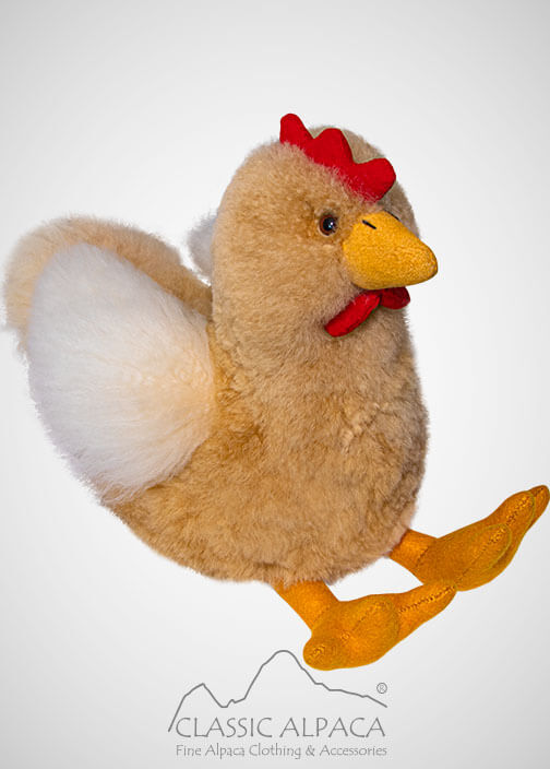 Chicken