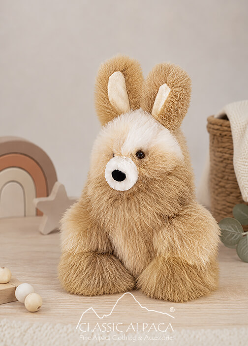 Bunny