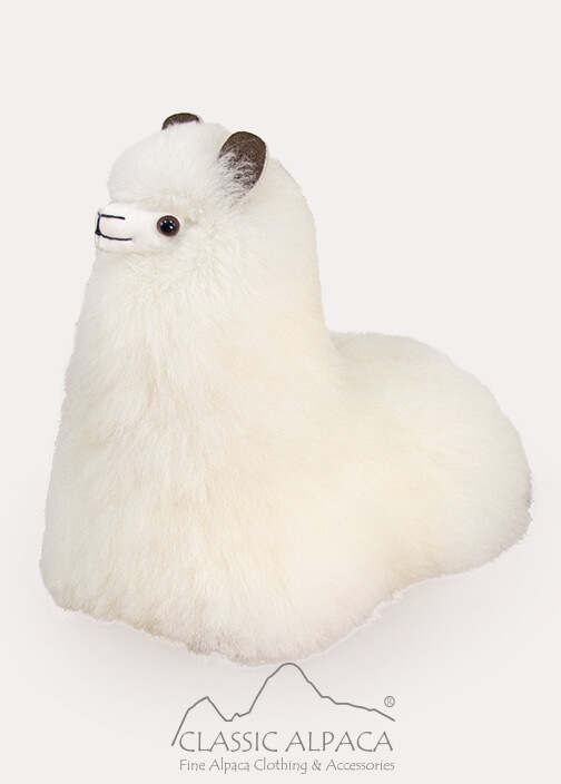 Cushing Alpaca