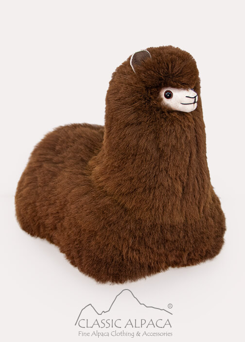 Cushing Alpaca