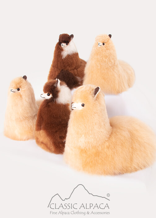 Cushing Alpaca
