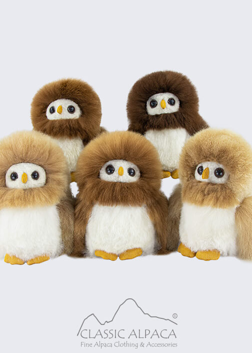 Owl