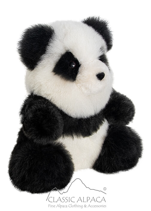 Panda Bear