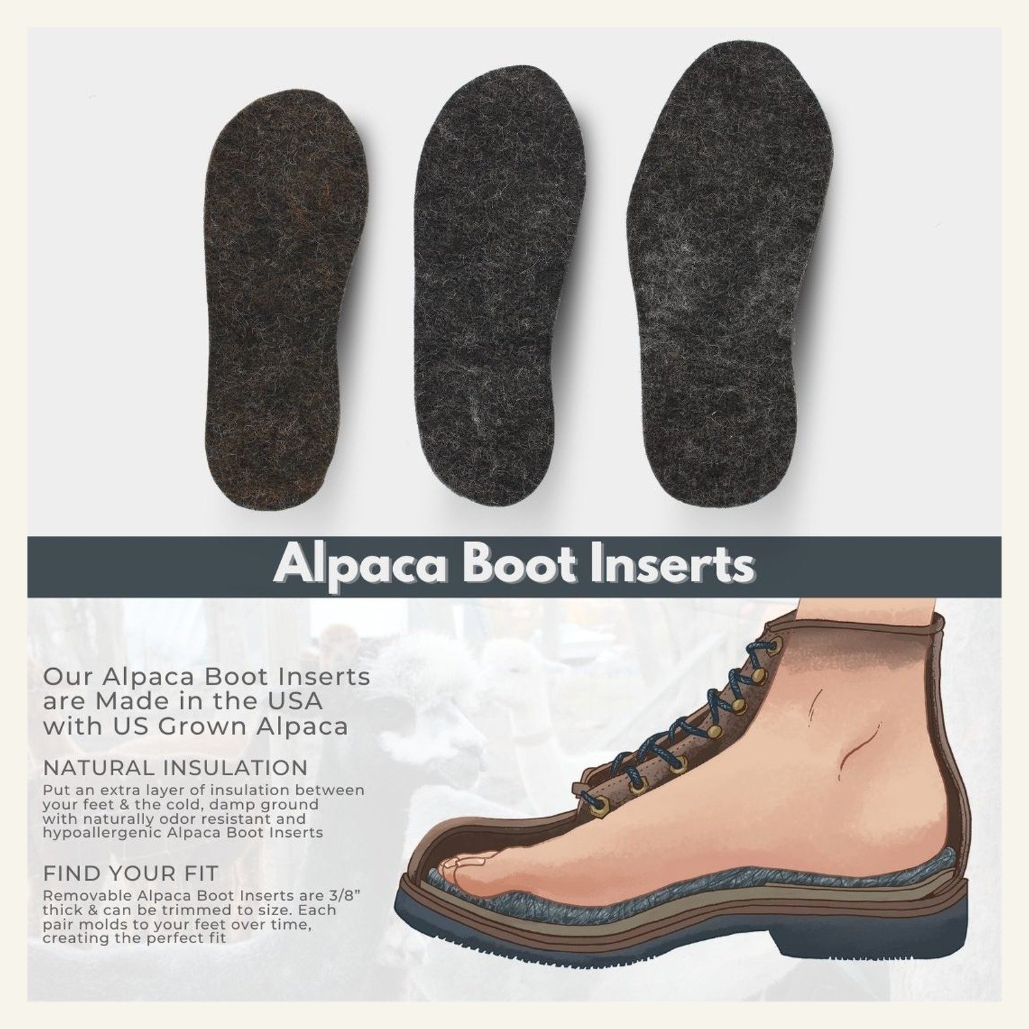 Boot Inserts