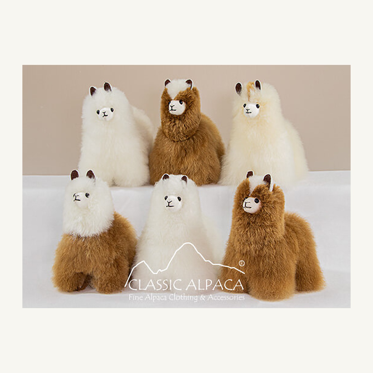 Standing Alpaca